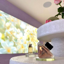 Travertine Venetian plaster fragrance table